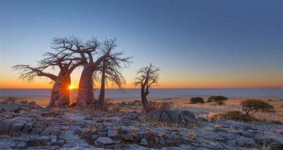 Atardece en el desierto del Kalahari, en Botsuana