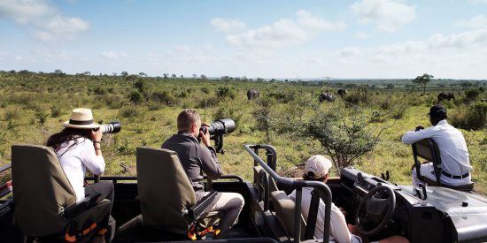 El safari fotográfico es una de las opciones favoritas de los visitantes.