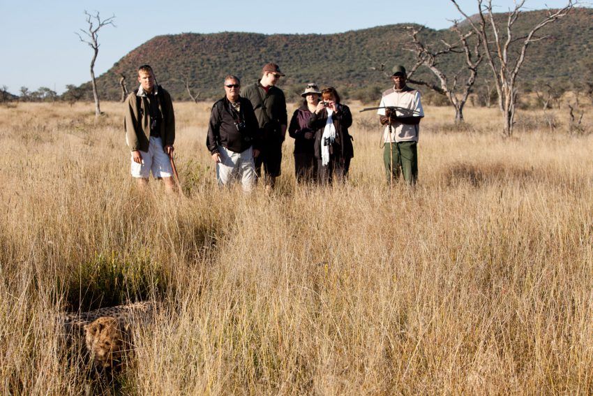 Auf Spuren von Geparden im Okonjima Luxury Bush Camp