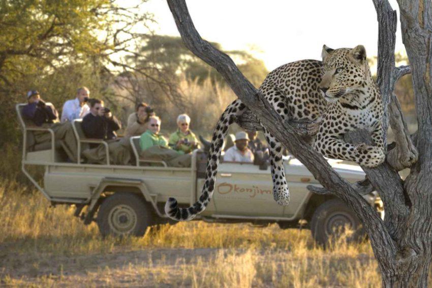 Aktivitäten in der Okonjima Luxury Bush Camp