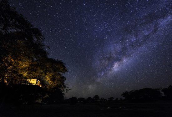 Stars in Mana Pools