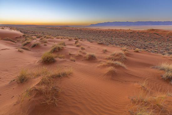 The Kalahari Desert