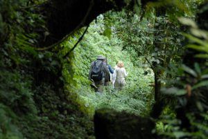 Un grupo de turistas realizando trekking