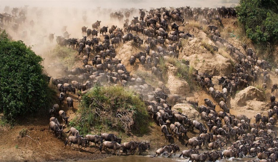 Experience the great migration in Tanzania. 