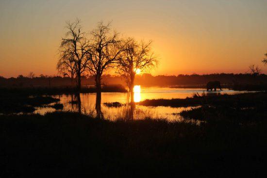 Sunrise in Mana Pools