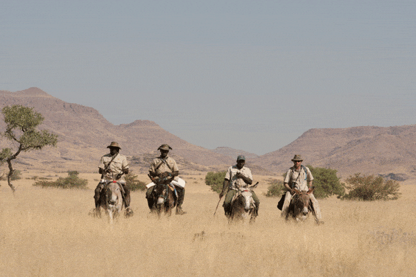 Patrouille anti-braconnage à dos d'âne en Namibie.