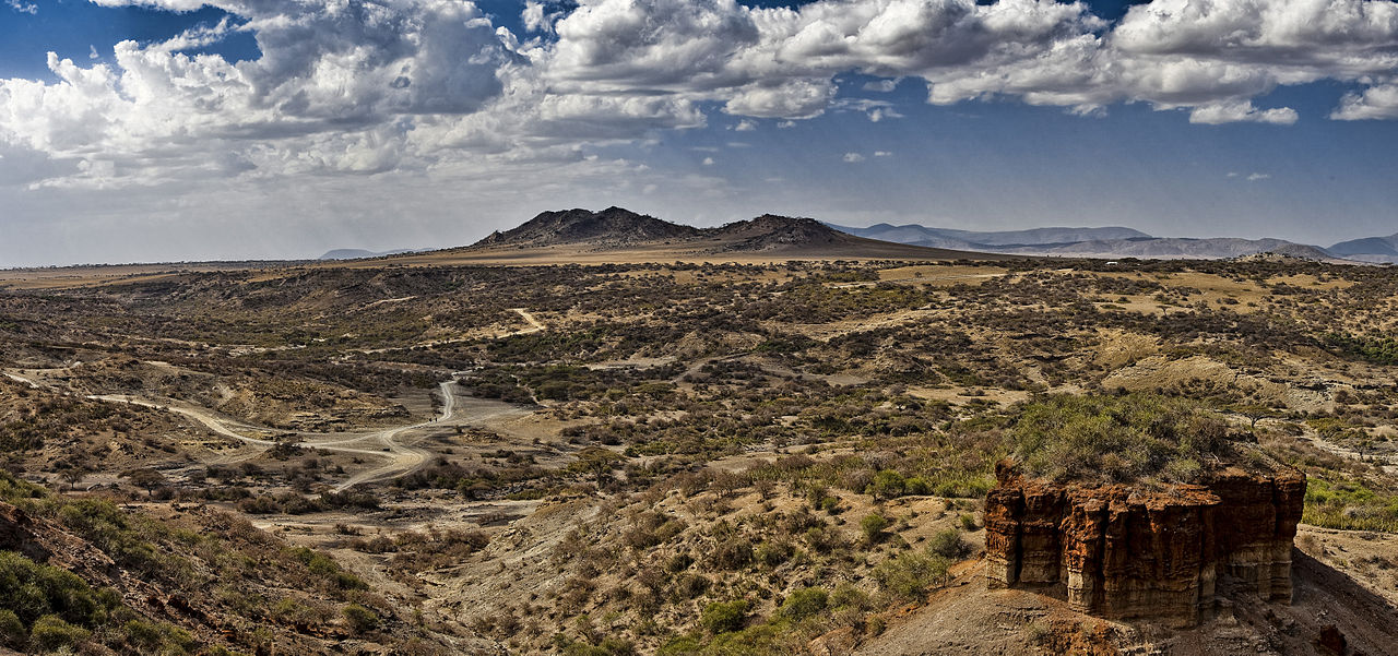 Panorama des gorges d'Olduvai en Tanzanie