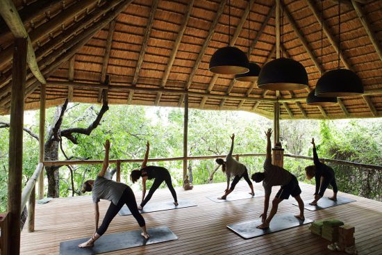 Pratique du yoga en pleine nature à la Healing House de Londolozi