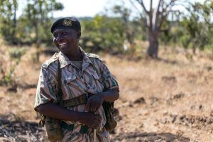 Um dos guias do seu próximo safári na África