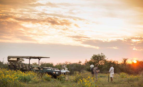 Safari-goers on a malaria-free safari in Madikwe 