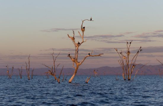 Le Lac Kariba au Zimbabwe