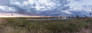 Hermoso paisaje en la sabana, perfecto para descansar durante tu safari en África