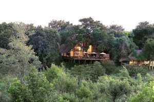 Lodge principal de Londolozi Varty Camp, où se situe la Healing House