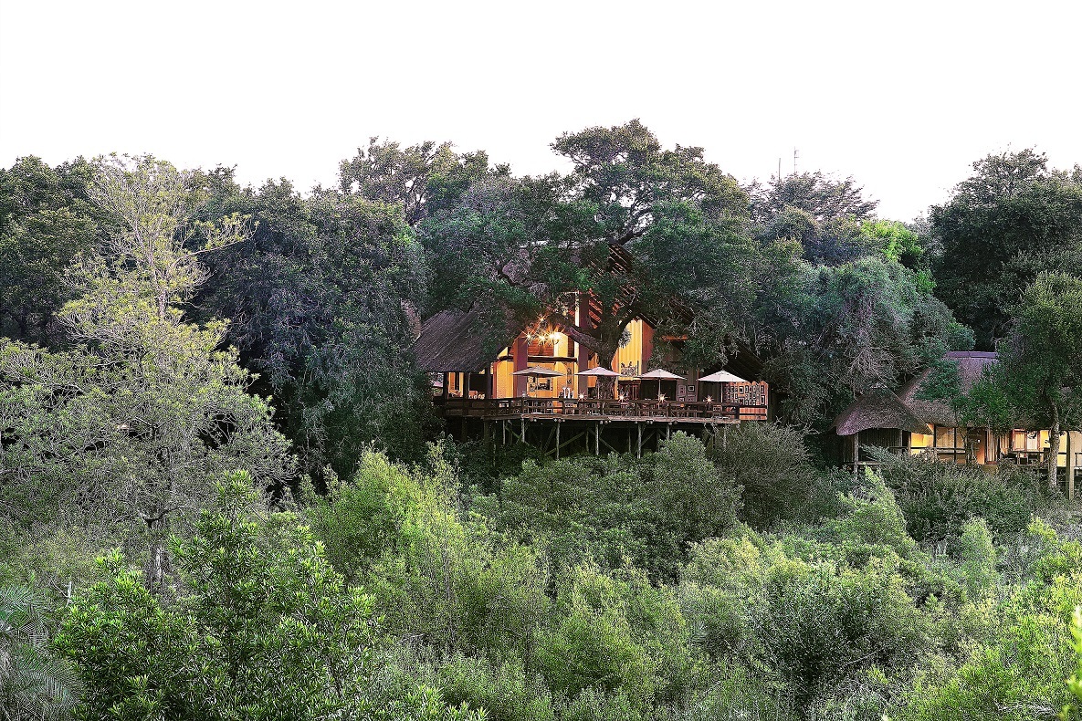 Alojarte en Londolozi es vivir una conexión real con el entorno. 