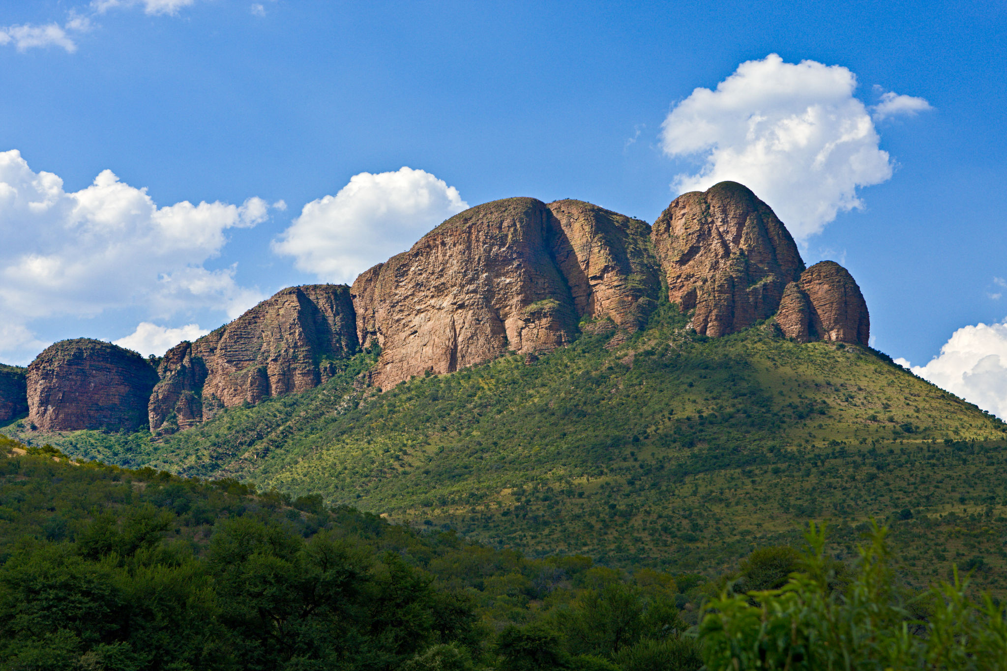 El Parque Nacional Marakele es un destino perfecto para ver al os "Cinco grandes" en un safari libre de malaria