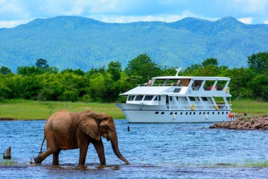 Der Luxuscruiser Matusadona auf dem Lake Kariba, wo ein Elefant durch seichte Wasser läuft