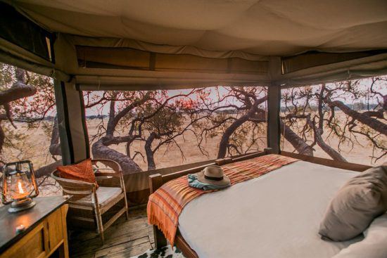 Der luxuriöse Hochsitz The Dove's Nest des Safari-Camps The Hide bietet sich für Hochzeitsreisende an