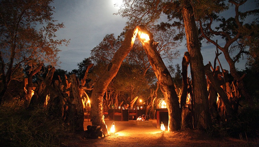 Jantares ao redor da fogueira são imperdíveis durante sua viagem de safári