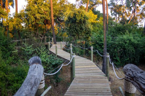 Holzsteg zwischen grünen Palmen verbindet die Suiten der Victoria Falls Island Lodge