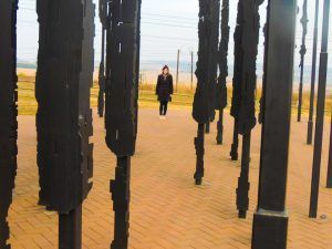 Meander at the Mandela Capture Site