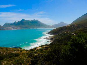 Spotting Whales on Chapman's Peak