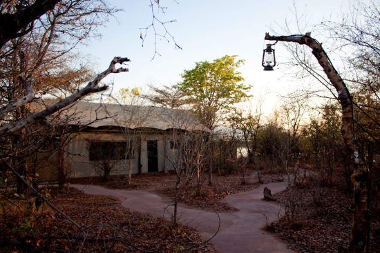 Changa Safari Camp is situated in a private concession in the Matusadona National Park