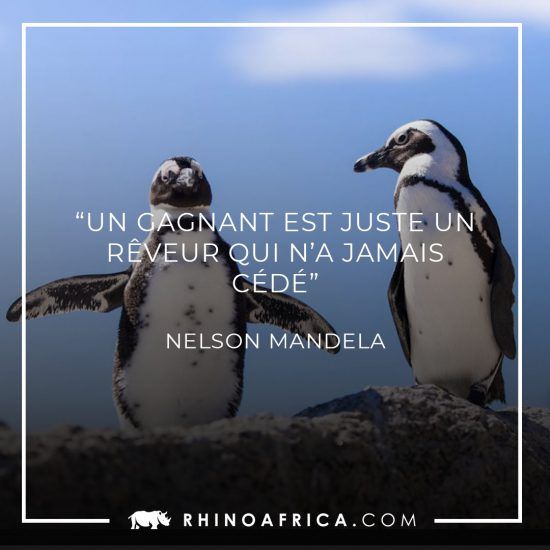 Citations Mandela pour le Centenaire de Mandela