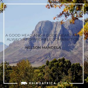 Quote from Madiba to celebrate Mandela Day