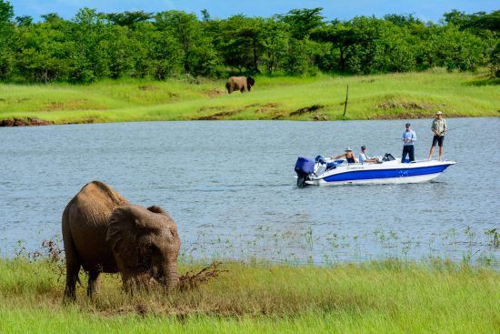 Wildlife can often be viewed along the banks of Lake Kariba