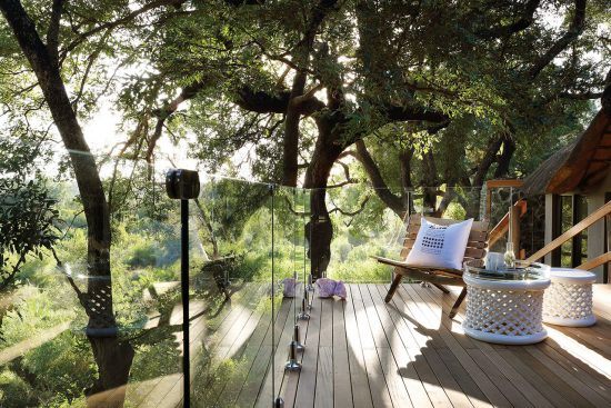 Londolozi Healing House te imerge na natureza