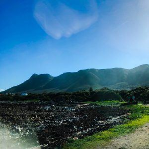 Spotting Whales in Hermanus