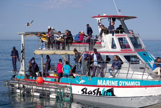 Barcos que te llevan a vivir aventuras increibles