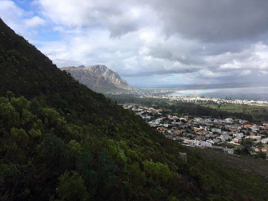 Hermanus vista da Reserva Natural Fernkloof. Foto: Nathalia Marangoni