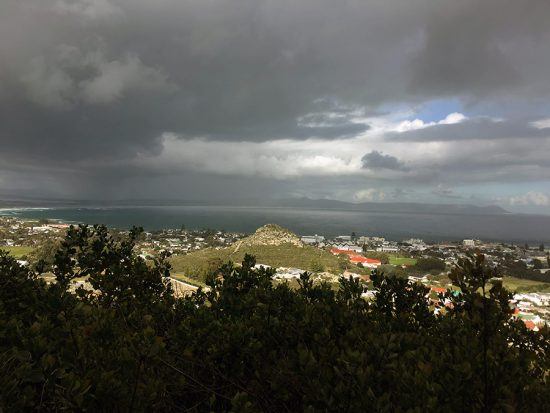 Hoy's Koppie visto a partir da Reserva Natural Fernkloof, Hermanus. Foto: Nathalia Marangoni