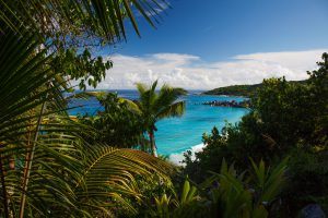 A bay in Seychelles