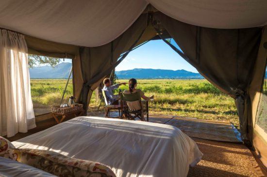 John's Camp tents overlook a luscious green swamp