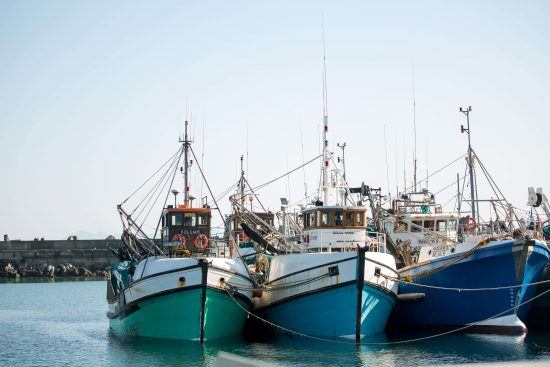 Bâteaux de pécheurs dans le port de Gansbaai, dans la province du Cap-Oriental en Afrique du Sud à Hermanus.