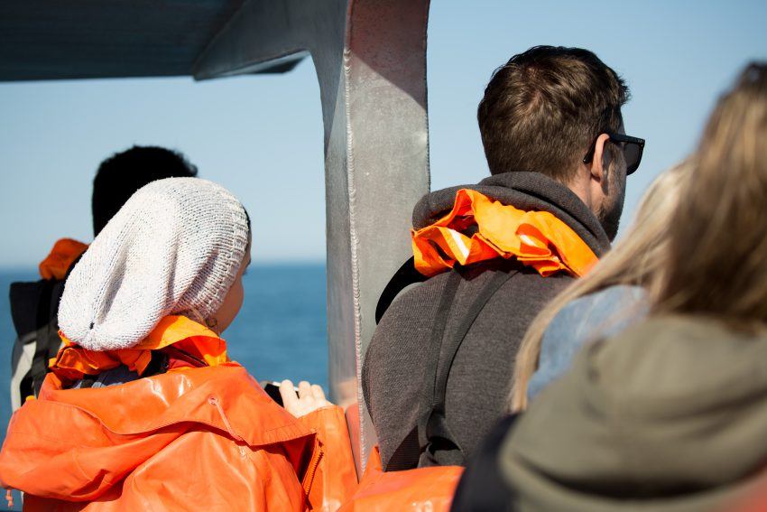 Auf Bootstour vor der Küste Südafrikas