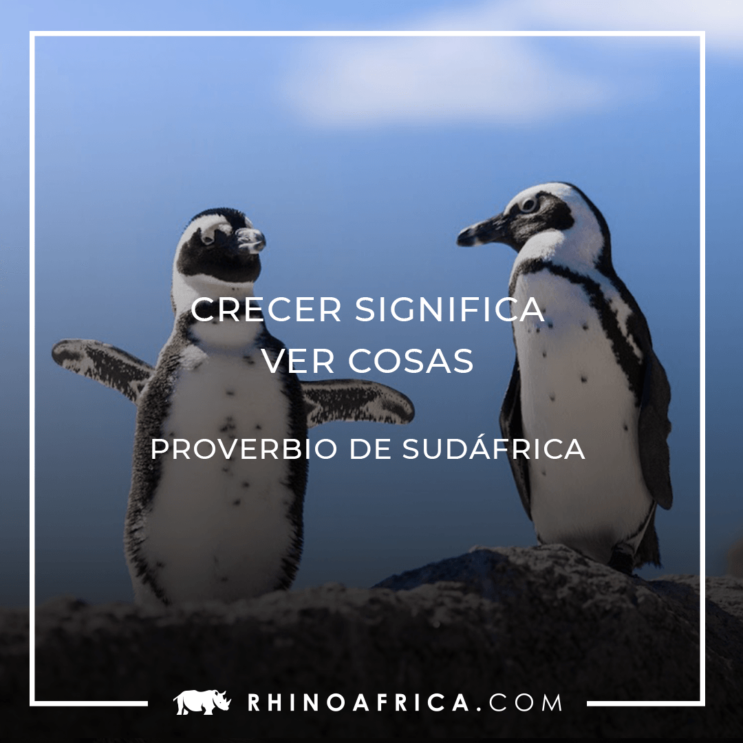 Proverbios africanos: Crecer significa ver cosas