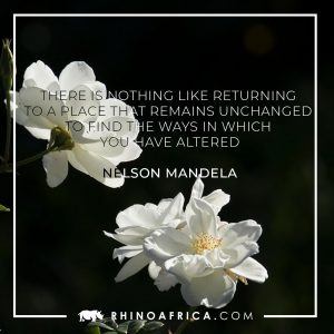 Quote from Madiba to celebrate Mandela Day