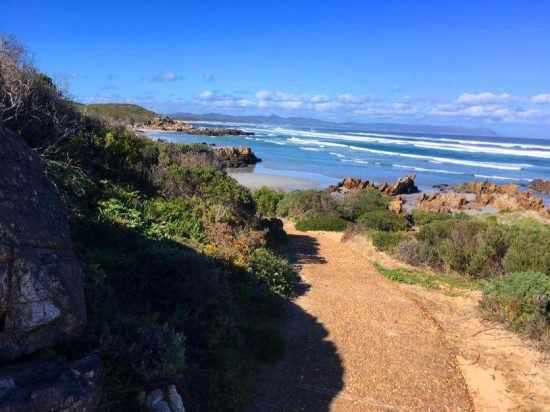 Cliff Path Walk leva visitantes a praias maravilhosas. Foto: Nathalia Marangoni