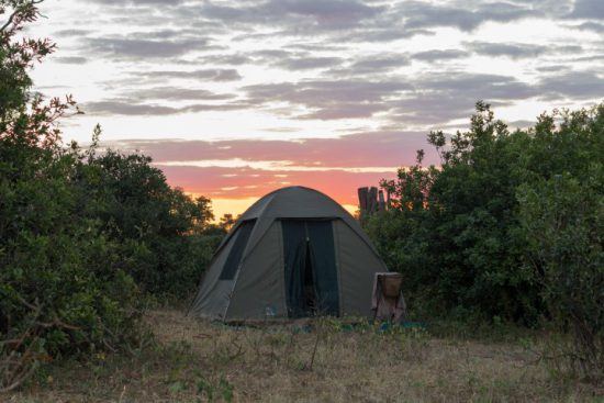 Ein kleines Zelt bei Sonnenuntergang im Gonarezhou Nationalpark in Simbabwe