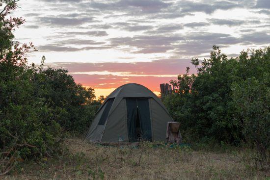 Camp Mahove offers a more stripped down experience of Gonarezhou