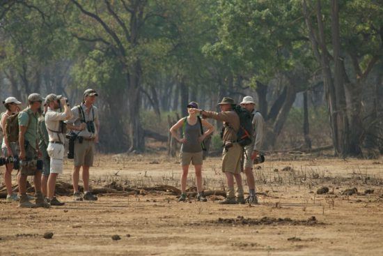 Walking safaris are a Mana Pools speciality