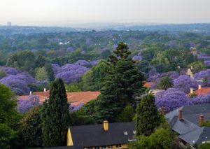 Johannesburg