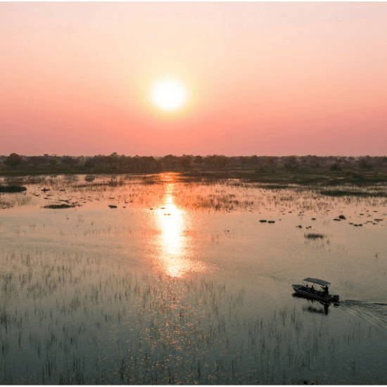 Eine romantische Bootsfahrt bei Sonnengang im Okavango Delta in Botswana