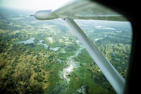 Safari en petit avion léger dans le Delta de l'Okavango au Botswana