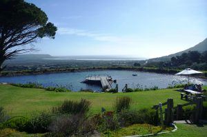 outside-view-of-cape-point-vineyards-cape-town-south-africa