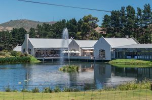 nitida-wine-farm-durbanville-south-africa