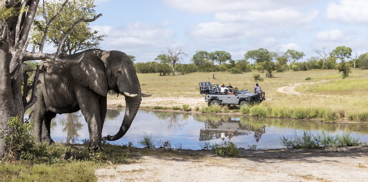 Avistando un elefante en Silvan